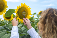 Association “Dobrudzha Agrarian and Business School” is a partner in a new initiative for adapting agriculture to climate change in the Black Sea Basin region